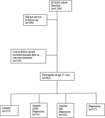 Maternal and psychosocial antecedents of anxiety and depression in extremely low gestational age newborns at age 15 years